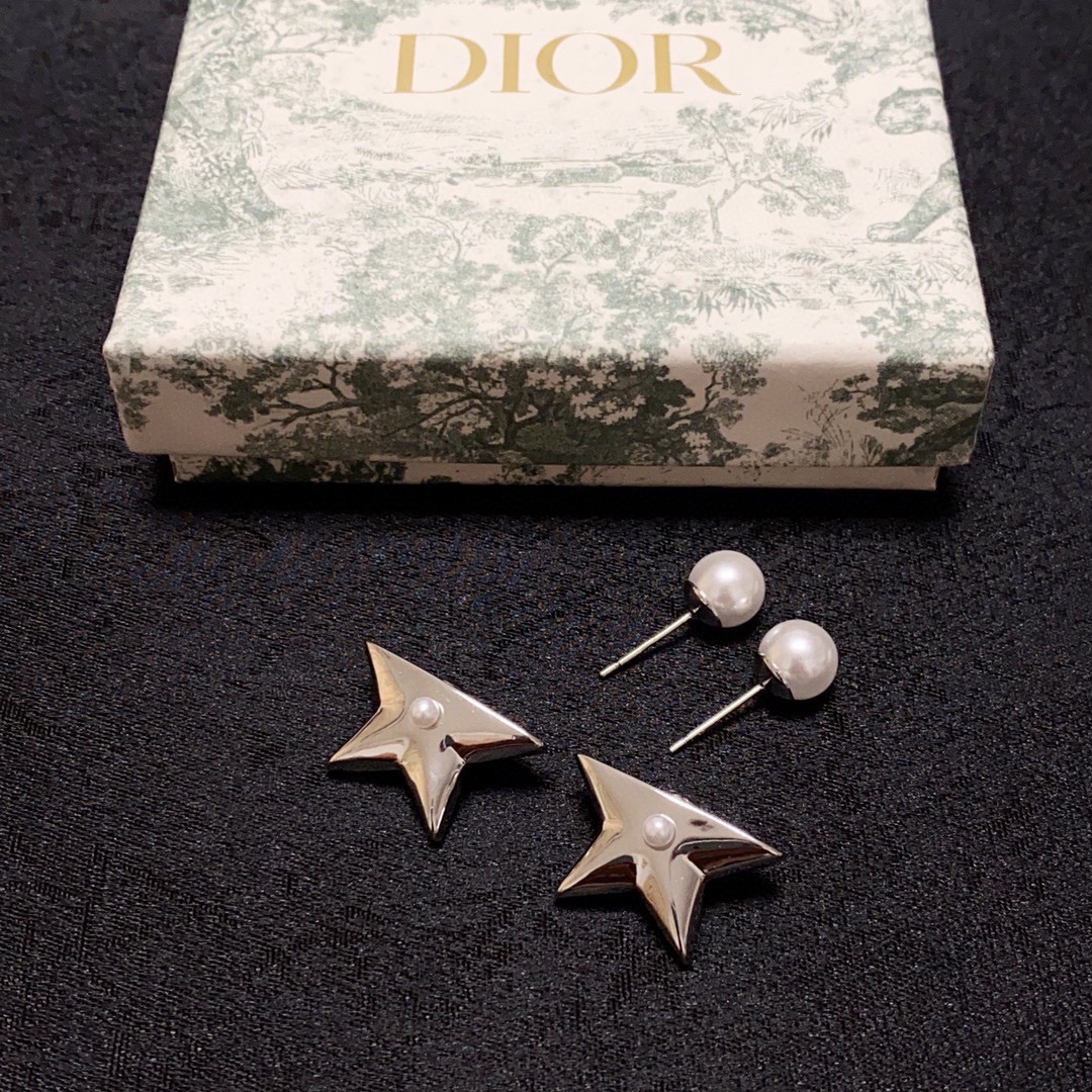 Dior Earring 04yxs296